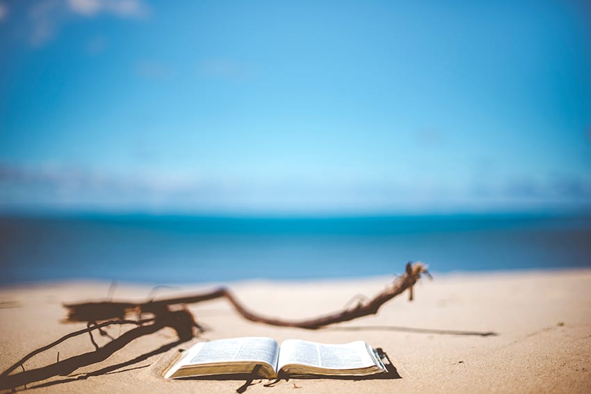 Beach book