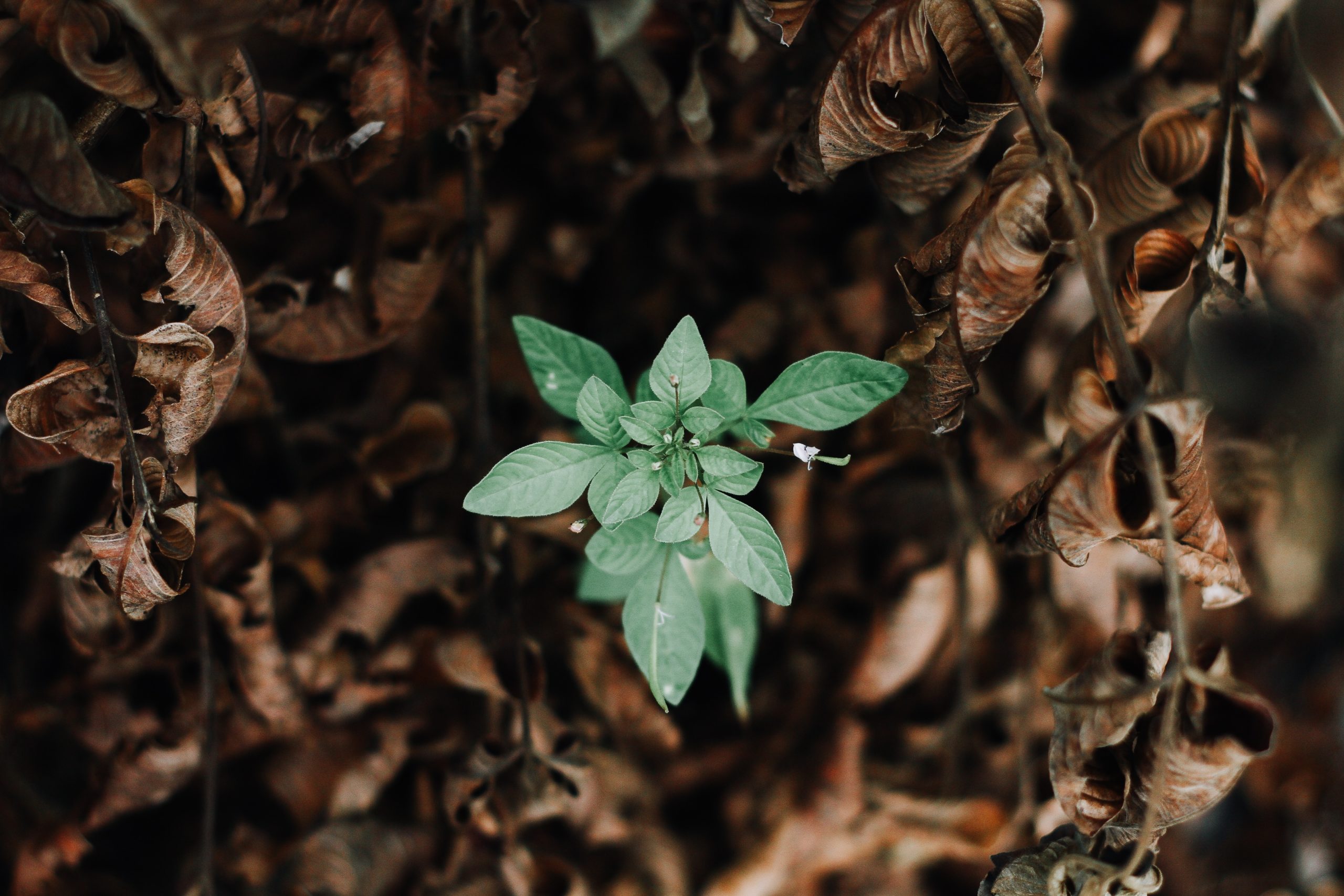 luke carliff cN995mpaJf0 unsplash scaled