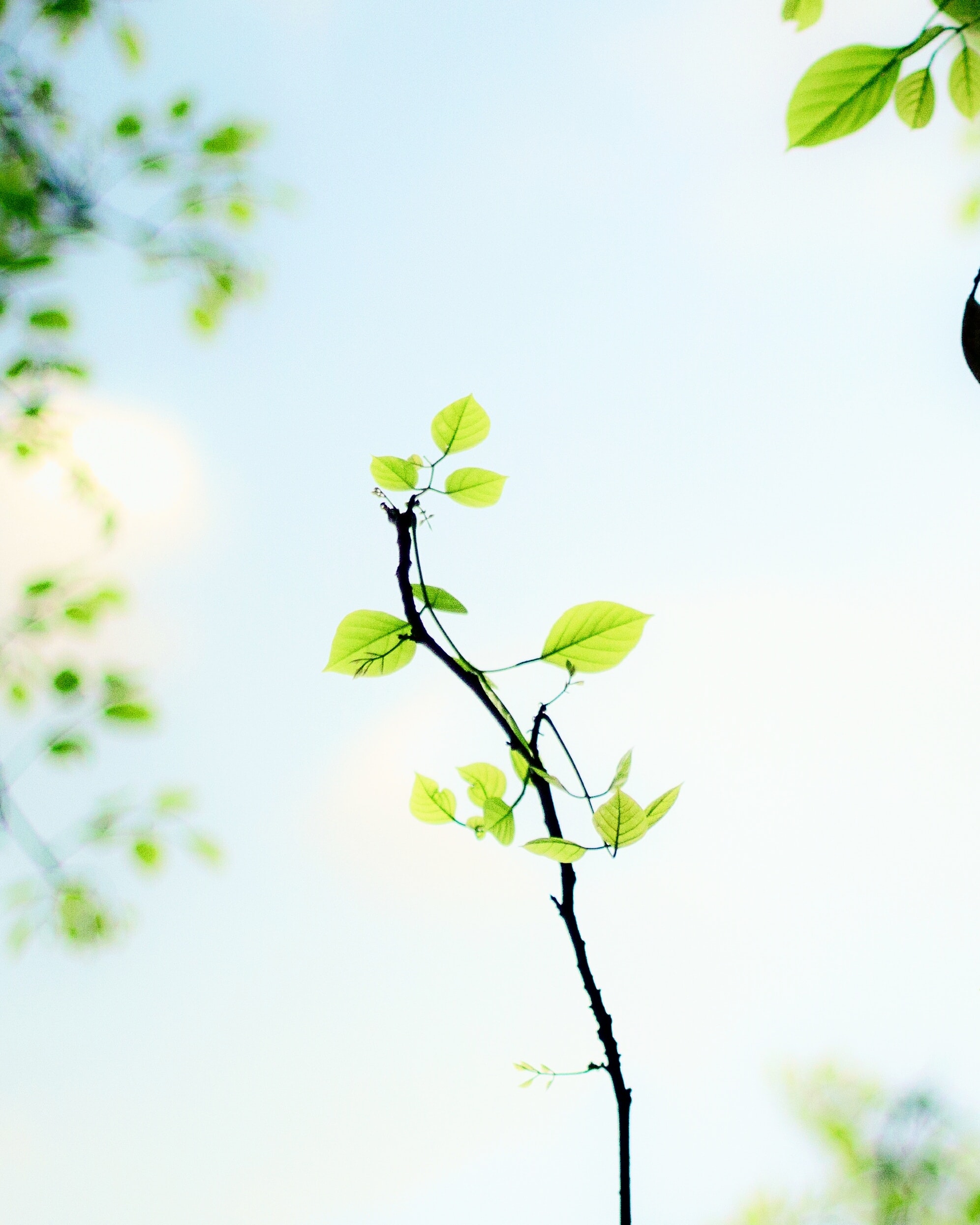 ravi roshan 6V149DcMaG4 unsplash